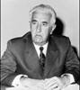 DzemalBijedic